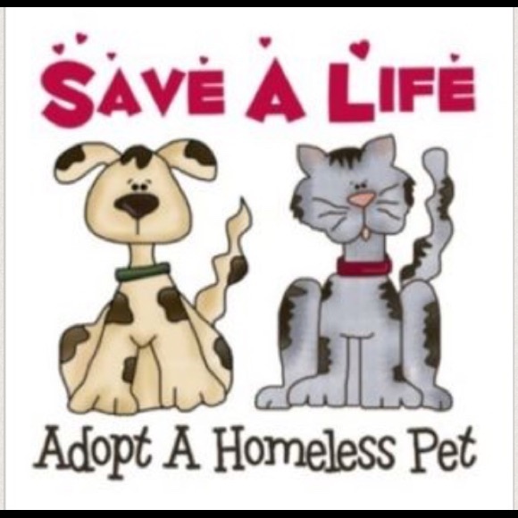 Meet Your Posher, Cindy - Picture 2 of 6